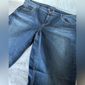 Lane Bryant SZ 26W Genius Fit Bootcut jeans